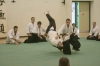 KSK Aikido Course at Aylesbury March 2009