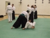 KSK Aikido Course at Aylesbury March 2010
