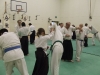 KSK Aikido Course at Aylesbury March 2010