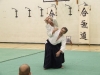 KSK Aikido Course at Aylesbury March 2010