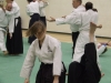 KSK Aikido Course at Aylesbury March 2010
