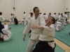 KSK Aikido Course at Aylesbury January 2010