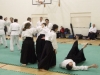 KSK Aikido Course at Aylesbury January 2010