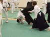 KSK Aikido Course at Aylesbury January 2010