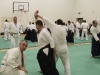 KSK Aikido Course at Aylesbury January 2010