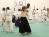 KSK Aikido Course at Aylesbury January 2010