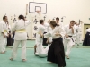 KSK Aikido Course at Aylesbury January 2010
