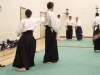 KSK Aikido Course at Aylesbury January 2010