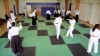KSK Aikido Course at Pinner Club February 2011 #1