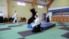 KSK Aikido Course at Pinner Club February 2011 #1