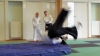 KSK Aikido Course at Pinner Club February 2011 #1